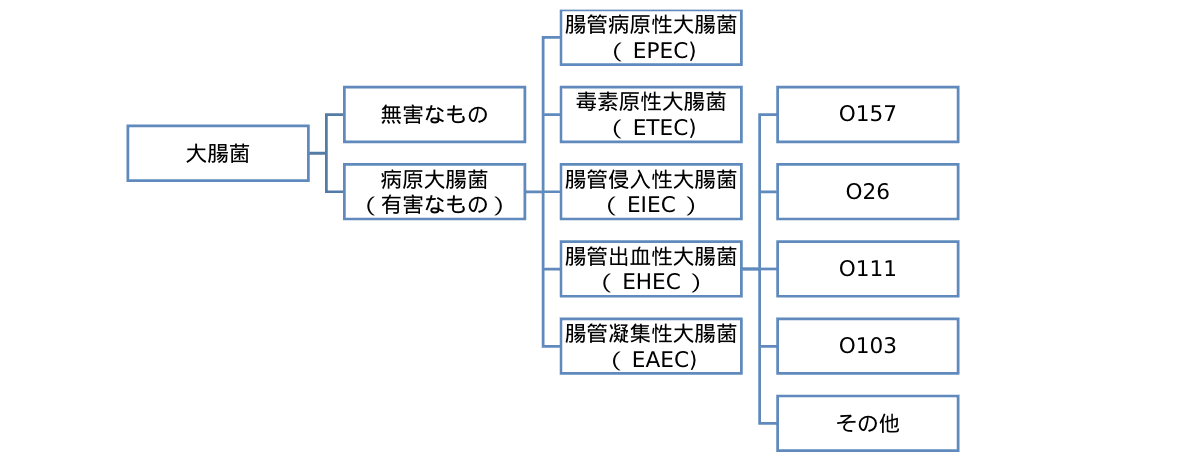 食品製造・調理現場における腸管出血性大腸菌の予防方法 │ 食品製造